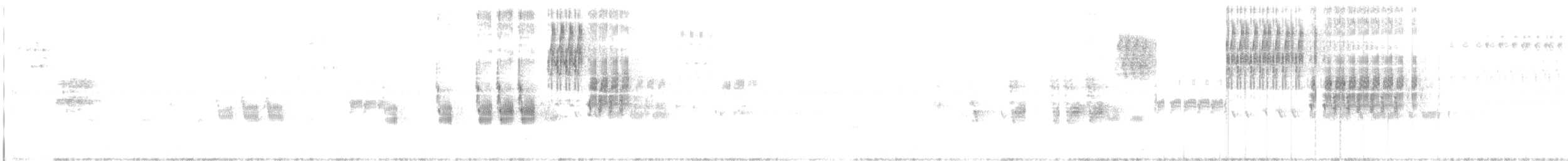 ダイサギ - ML456569661