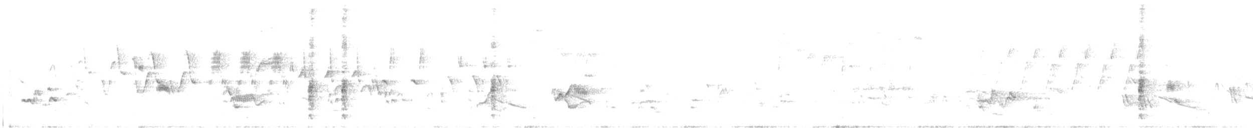 ネコマネドリ - ML456570921