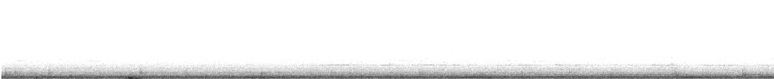 holub běloprsý - ML456581771