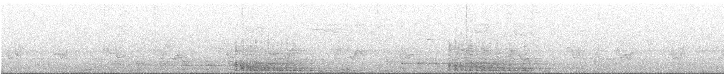 Wild Turkey - ML456586861