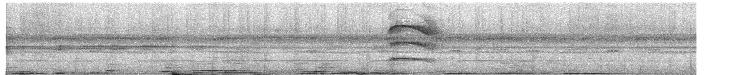 Striped Owl - ML456597111