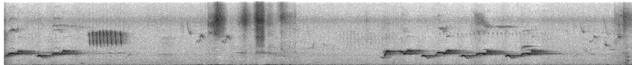 白斑紫嘯鶇 - ML456707101