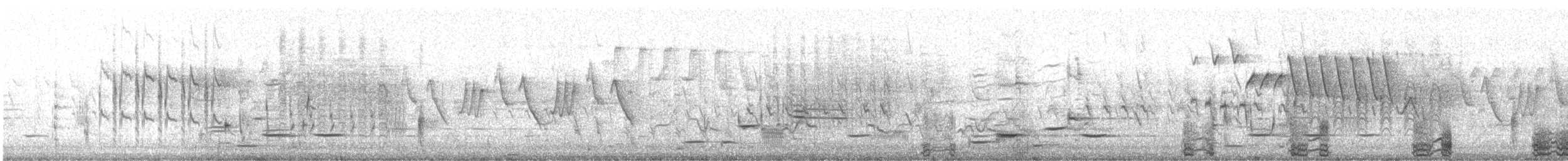 שרשיר קינמון - ML456739901