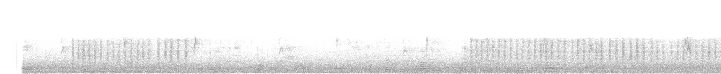 Белокрылый трупиал - ML45676001