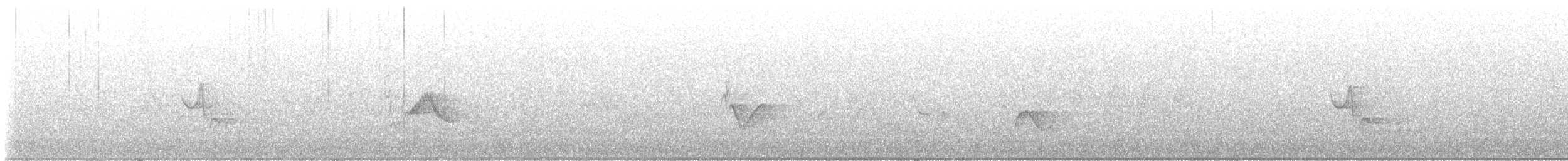 solitary vireo sp. - ML456830871