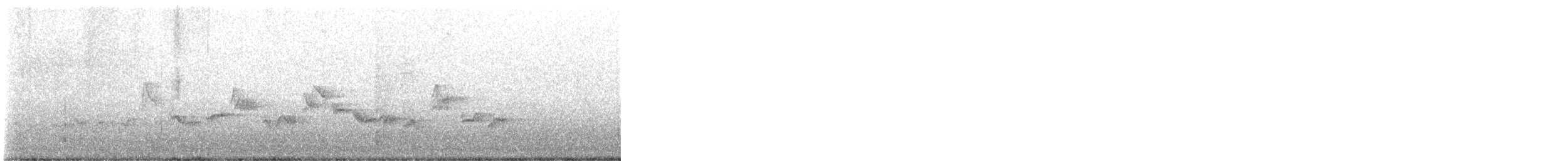 Eastern Warbling Vireo - ML456836431