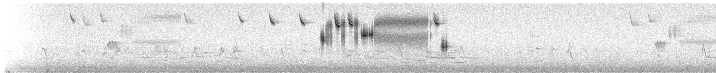 musespurv (sandwichensis gr.) - ML456856441