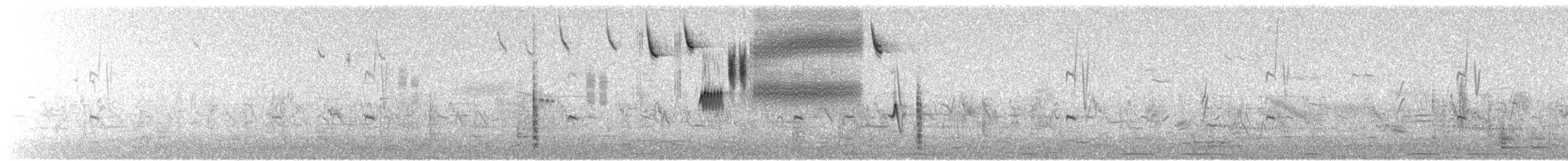 musespurv (sandwichensis gr.) - ML456857801