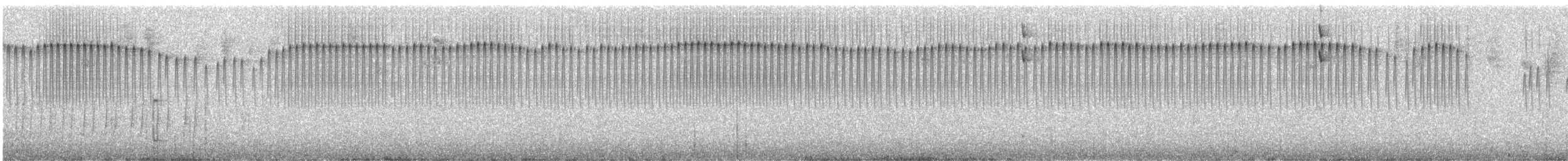 Tropfenbrust-Stachelschwanz - ML456868151