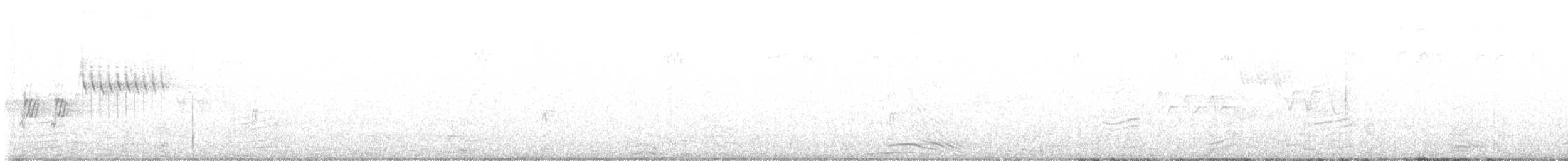 Тауї плямистий - ML456886251