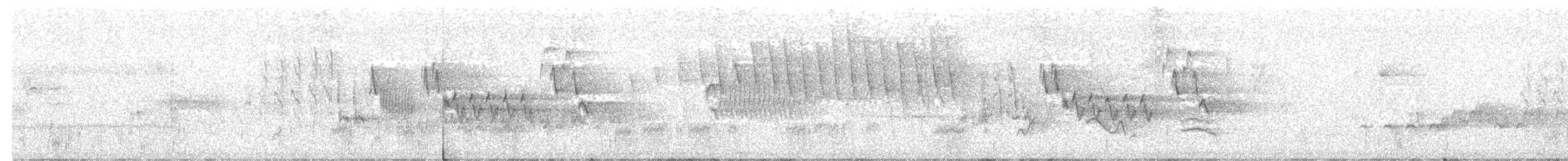 Чечевиця кармінова (підвид californicus) - ML456910111