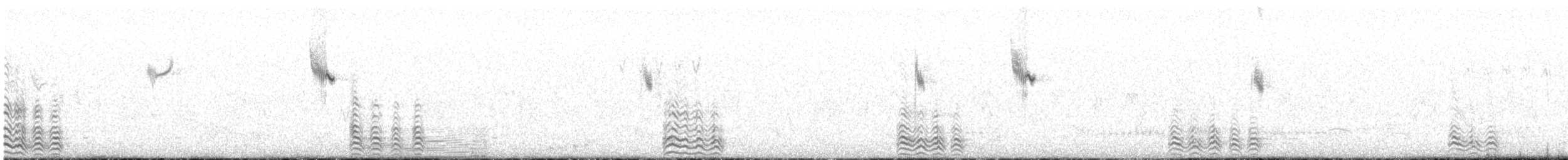 Gray Wagtail - ML456911701