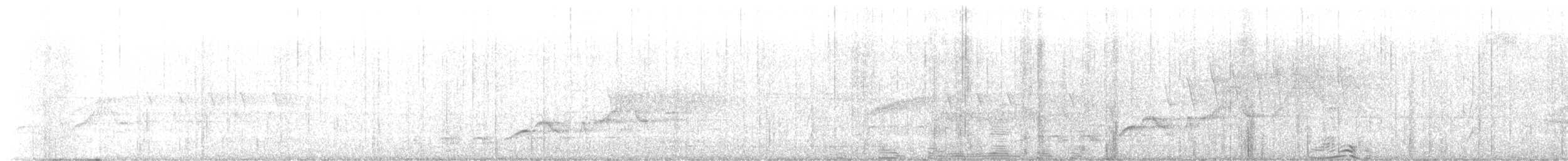 Дрізд-короткодзьоб Cвенсона - ML456917171