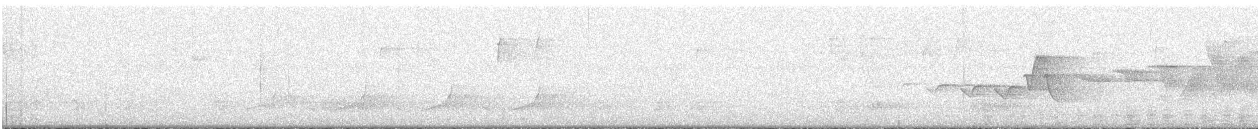Hooded Warbler - ML456963821