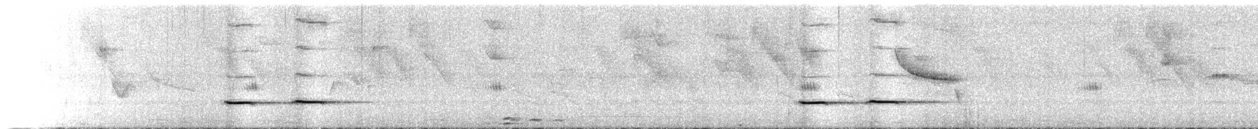 Striped Cuckoo - ML456965651