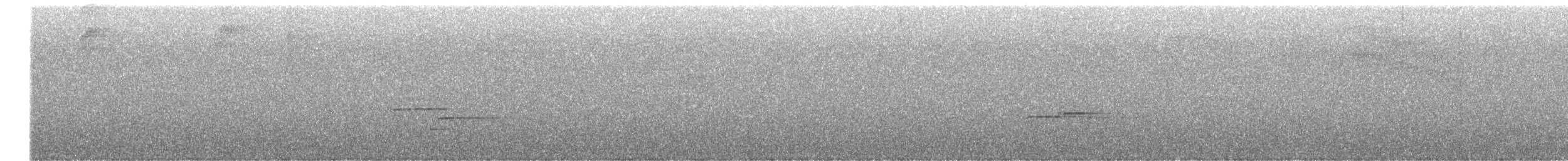 Дрізд-короткодзьоб сірий - ML456978281