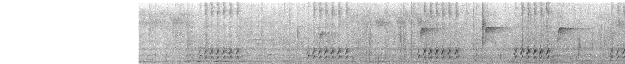 Weißscheiteltapaculo - ML457024421