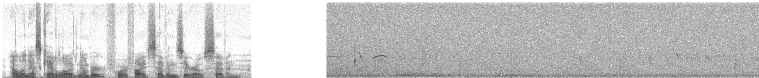 Jameson's Antpecker - ML45707