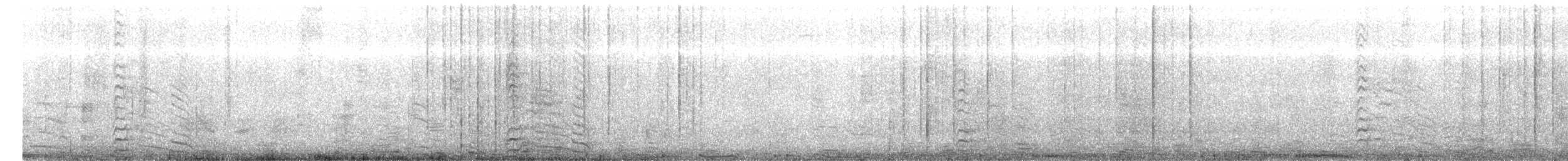 Kaio iluna (graellsii) - ML457227201