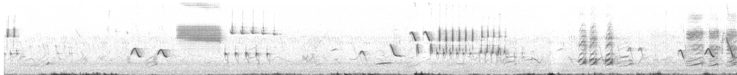 Тауї зеленохвостий - ML457241251