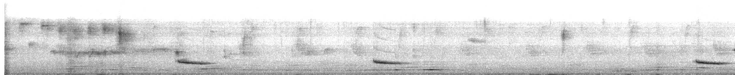 Дрізд мексиканський (підвид rufopalliatus) - ML457248881