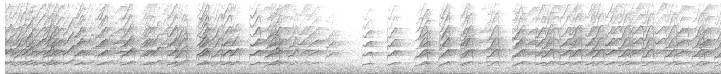 Weißstirn-Schwatzvogel - ML457266931