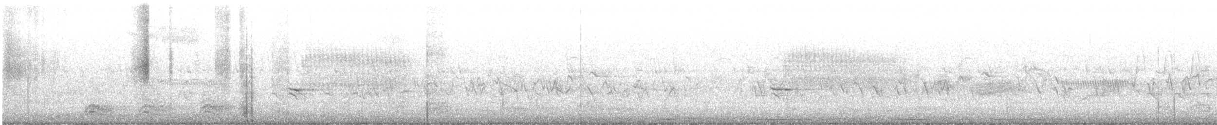 Spotted Towhee (oregonus Group) - ML457385721
