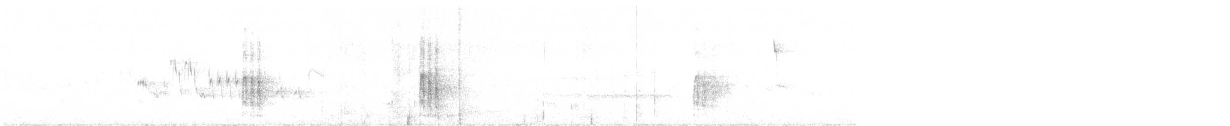 White-headed Woodpecker - ML457478901