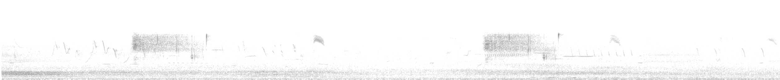 Канадская овсянка-барсучок (subvirgata) - ML457483651