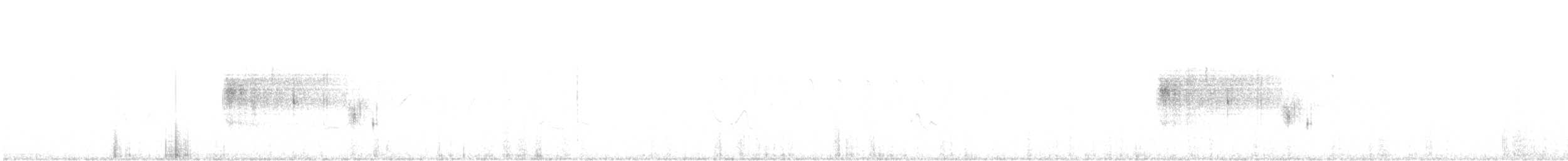 ネルソントゲオヒメドリ（subvirgata） - ML457483891