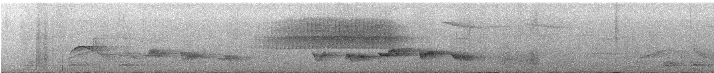 Worm-eating Warbler - ML457489081