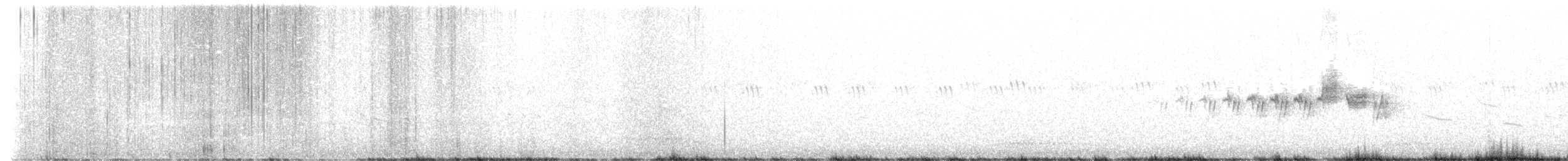 Black-throated Gray Warbler - ML457578741