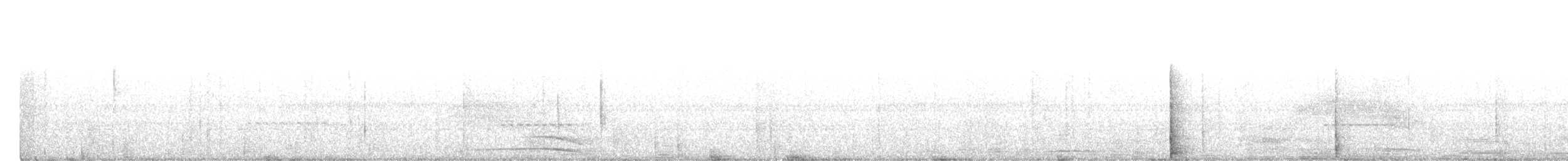 puštík černopásý [nepopsaná forma z mlžného lesa] - ML457588241