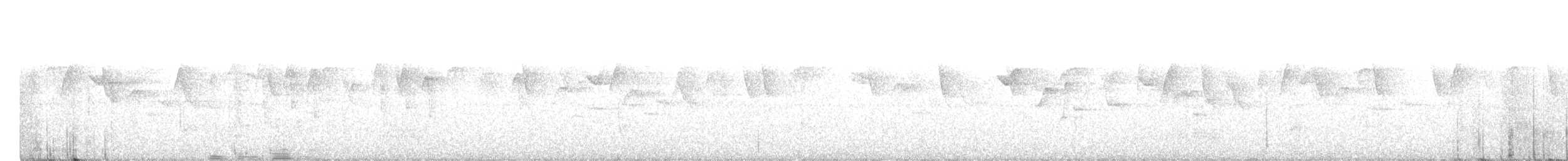 Пестрогорлый колибри-отшельник - ML457590621