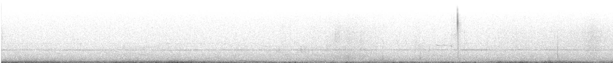 holub skalní (domácí) - ML457638441