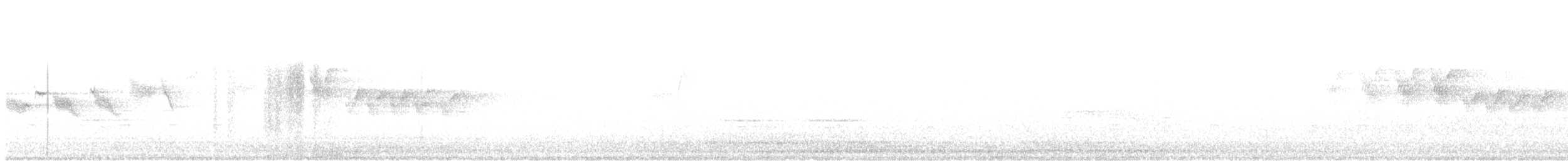 MacGillivray's Warbler - ML457706811