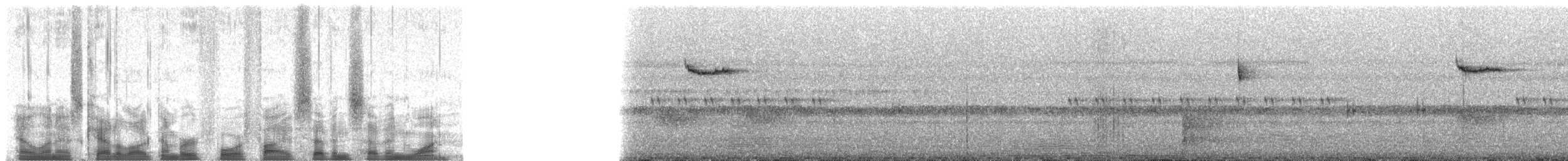 Саїманга оливкова - ML45771