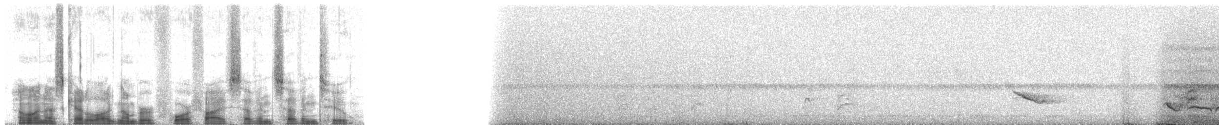 Gelbbrauen-Bogenflügel - ML45772