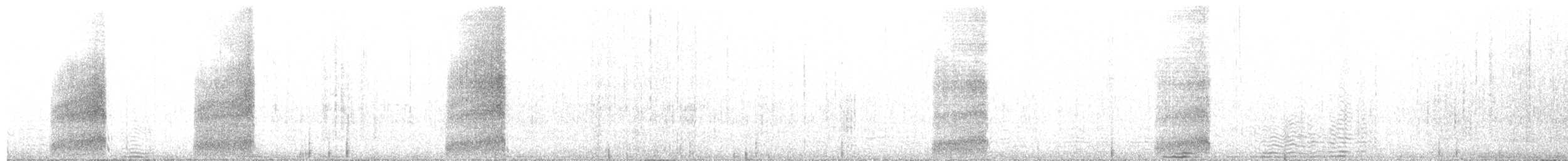 graveugle (hypugaea/rostrata) - ML457758391