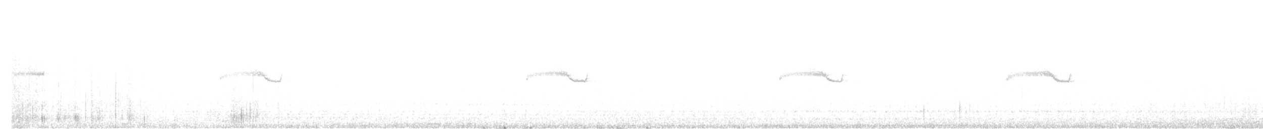 Band-winged Nightjar (atripunctata) - ML457803261
