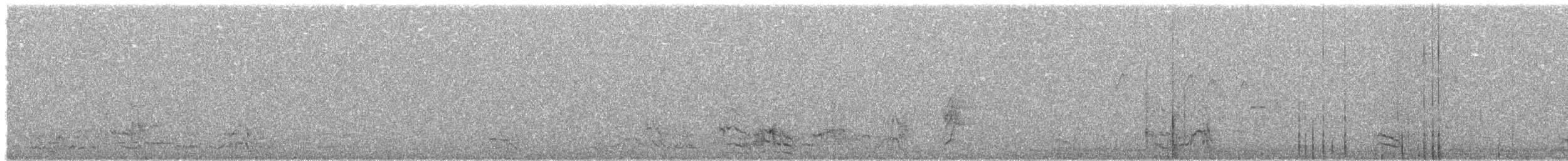 Turquoise-fronted Amazon - ML457805141