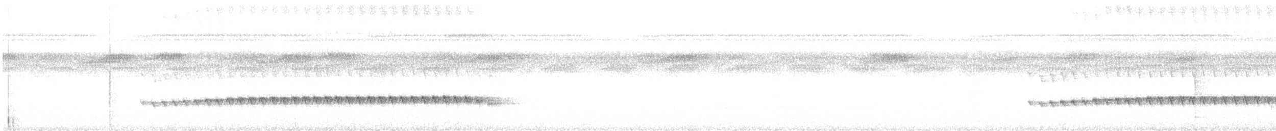 Olivscheitel-Ameisenvogel - ML457822001
