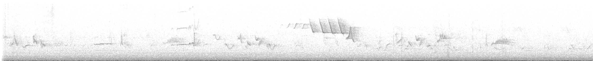 Western Wood-Pewee - ML457823671