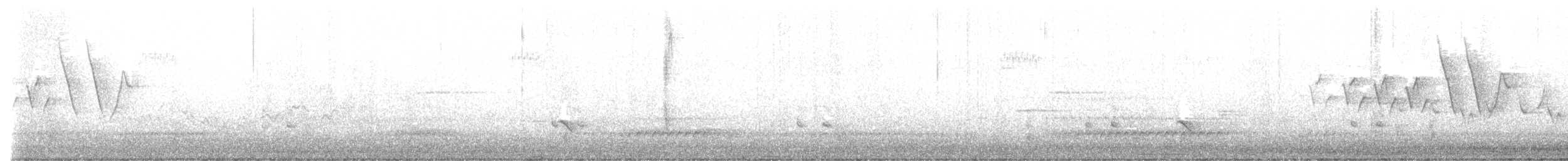 Шиферный коростелёк (jamaicensis/coturniculus) - ML457827601