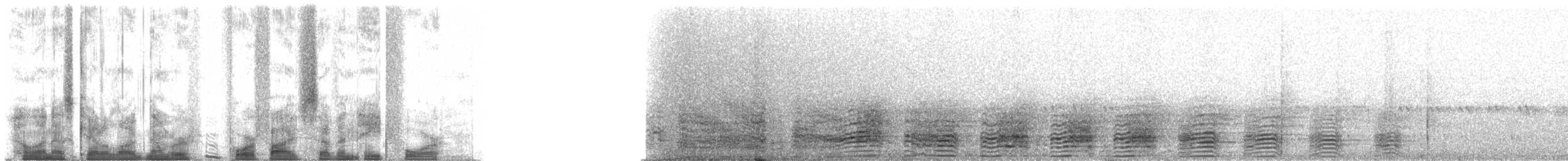 Calao à joues grises - ML45784