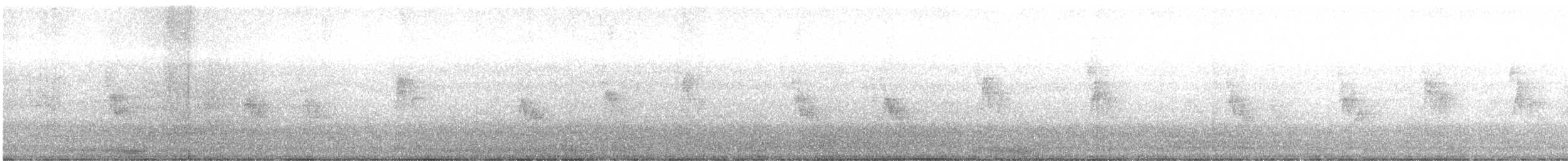 holub skvrnokřídlý - ML457848361