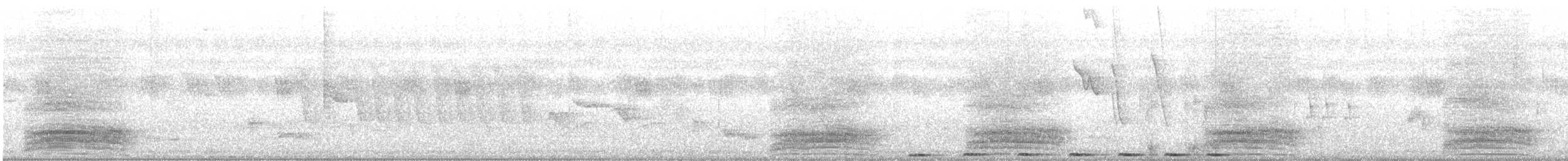 Greater Coucal - ML457888211