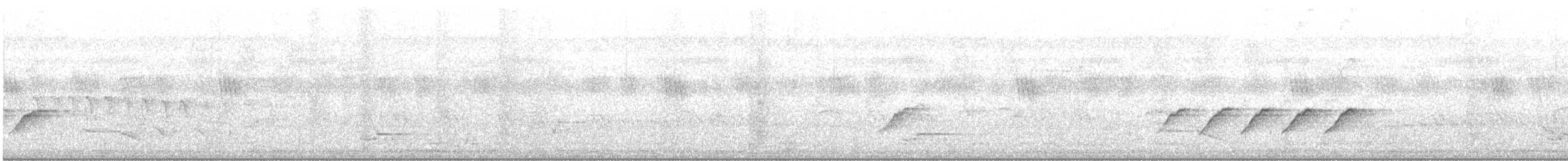 Black-naped Monarch - ML457889031