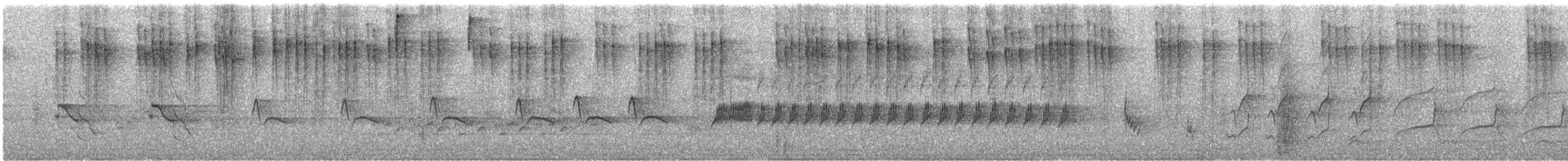 Schwirrammer - ML457890391