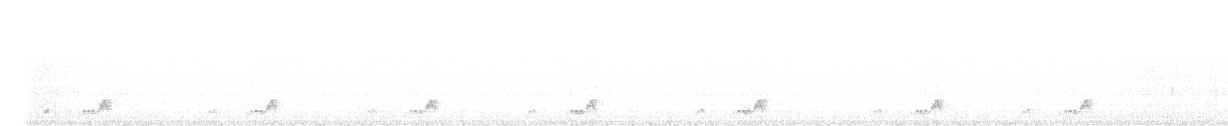 Mexikonachtschwalbe - ML457943931